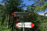 16 Agganciamo il sentiero normale che sale da Chiareggio